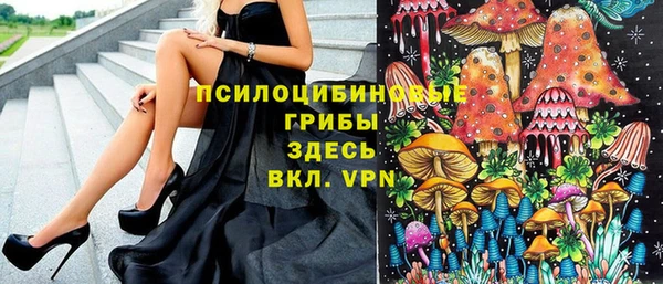 метадон Абаза